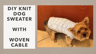 DIY KNIT DOG SWEATER WITH WOVEN CABLE [upl. by Doralin]