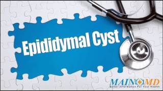 Epididymal Cyst ¦ Treatment and Symptoms [upl. by Pantheas]