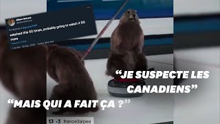 Les Américains découvrent les marmottes de France 3 et ils sont fans [upl. by Pike20]