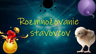 Biológia 7 ročník  Rozmnožovanie stavovcov [upl. by Gunilla953]