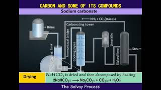 The solvay process [upl. by Nujra852]