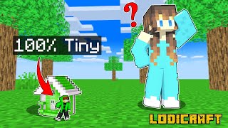 Using 100 TINY HOUSE to Cheat in Minecraft Hide N Seek [upl. by Aix606]