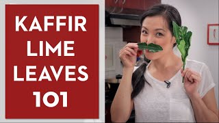 Ultimate Guide to Makrut kaffir Lime Leaves  Hot Thai Kitchen [upl. by Glynias602]