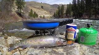 Catch n Cook Wild Trout Deep in the Mountains [upl. by Lumbye]