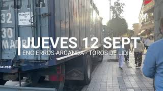 Encierros Arganda 2024  Primero del jueves 12 Septiembre Lidia [upl. by Wack607]