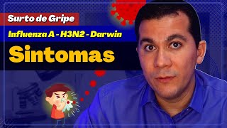 GRIPE H3N2 │SINTOMAS E GRUPO DE RISCO [upl. by Irihs474]