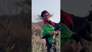 Sam Jannat Afghanistan De WaTan 🎵 Pashto new song 2024 pashtosong javedAmirkhailOfficial [upl. by Livvyy]