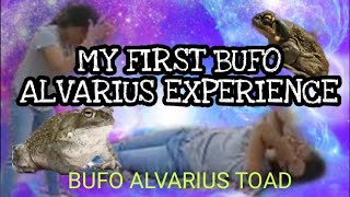 MY FIRST BUFO ALVARIUS5MeoDMT EXPERIENCEBufo alvarius toadmedicineEivon NYC [upl. by Odnolor]