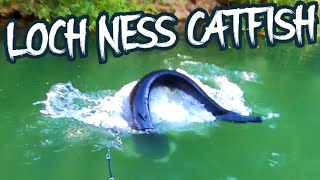 LOCH NESS MONSTER CATFISH 🦕 [upl. by Nelan]