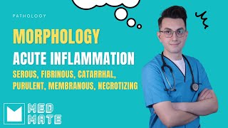 Morphology of acute inflammation [upl. by Ibok401]