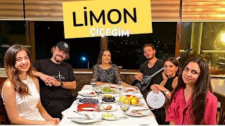 Aylin Demir  Limon Çiçeğim [upl. by Kaete]