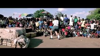 Jah Prayzah  Eriza Official Video [upl. by Dadelos]