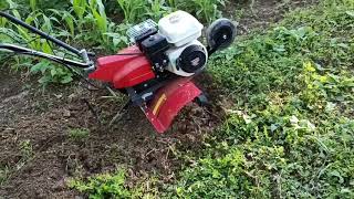 Honda tiller FG 320 freza test [upl. by Andriana838]