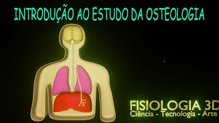 Aula 3  Introdução ao Estudo da Osteologia [upl. by Waddle646]