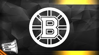 Boston Bruins 2019 Goal Horn [upl. by Brod]