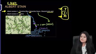 Microbiology RR  Part1  Dr Preeti Maam  FMGE NEETPG [upl. by Duyne]