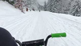 Lysá snowracer sáňkováníbobování asfaltka 16122023 [upl. by Bonnice]