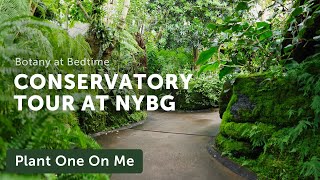 New York Botanical Garden CONSERVATORY Tour — Ep 356 [upl. by Aillicirp]