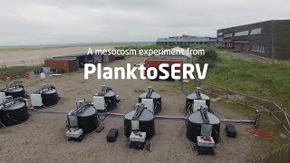 A mesocosm experiment from PlanktoSERV [upl. by Enitsirk925]