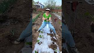 It is Very Easy to Plant Seedlings with This Tool  Useful Seedlings Planting Tool shorts tools [upl. by Annodas22]