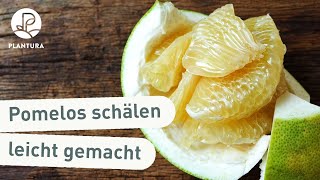 Lifehack Pomelos schälen aufschneiden und essen [upl. by Lahcear]