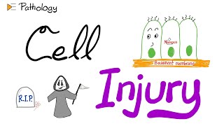 Introduction to Pathology  Cell Injury  A New Pathology Series [upl. by Caves928]