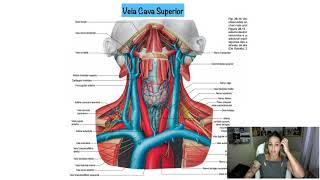 Sistema Venoso Cabeça e Pescoço [upl. by Ibed]