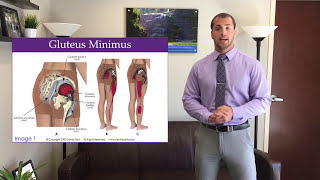 Fixing Common Hip Pain Problems  Hip Trigger Points [upl. by Lauryn355]