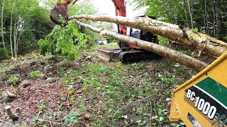 Vermeer BC1000 XL Gas WOOD CHIPPER eating Big TREES [upl. by Petta]