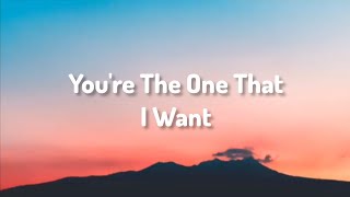 Jhon Travolta amp Olivia NewtonJhon  Youre The One That I Want  No Lyrics [upl. by Wolk]