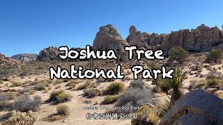 My Joshua Tree Guide English and Chinese Subtitles 中英字幕 [upl. by Latini]