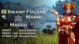 BDO  Swamp Fogans Marni Realm 28339k L2 Agris Fever on Titiums  Succession amp Awakening Maegu [upl. by Fadiman]