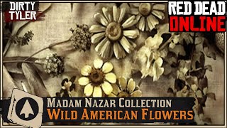 Wild American Flower Collection Cycle 6 All Plant Locations Red Dead Online RDR2 [upl. by Graniela]