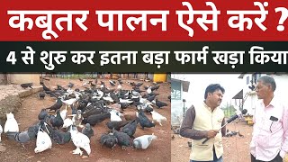 Kabutar Palan Kaise Karen । How to Start Pigeon Farming। कबूतर पालन छत्तीसगढ़ । Kabutar Farming cg [upl. by Asiralc]