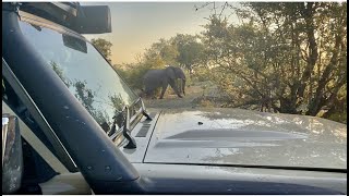 NAMIBIA  Mudumu National Park [upl. by Leandre410]