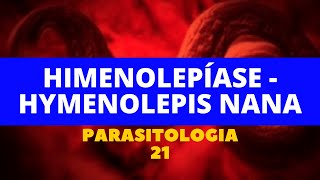 HIMENOLEPÍASE  HYMENOLEPIS NANA  PARASITOLOGIA 21 [upl. by Doreg]