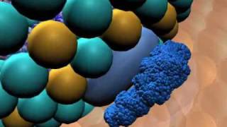 Metabolismo de Lipoproteinas [upl. by Onibla879]