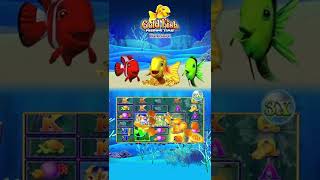 Gold Fish Feeding Time Treasure  Gold Fish Casino Slots  916 [upl. by Nalon]