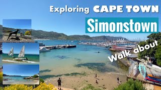 Exploring Cape Town  Simonstown walk about [upl. by Seek]