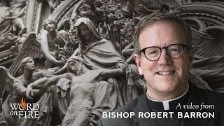 Bishop Barron on Grace and Karma [upl. by Llerret]