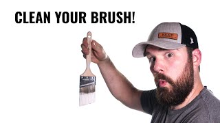 How To Properly Clean a Paint Brush [upl. by Frame334]