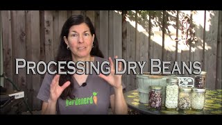 Processing Dry Beans for Storage to Eat YearRound [upl. by Born459]