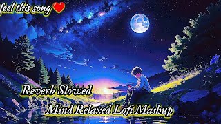 Mind🥰relaxsongsinhindiSlowmotionhindisongLofimashupslowedandreverb [upl. by Nnaecarg962]