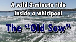 The quotOld Sowquot  Largest Whirlpool in the Americas [upl. by Yddeg]