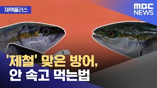 재택플러스 제철 맞은 방어 안 속고 먹는법 20211208뉴스투데이MBC [upl. by Cornell505]