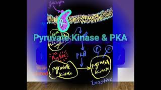 PKA amp Inhibition of Glycolysis Metabolism Made Easy [upl. by Alilak]