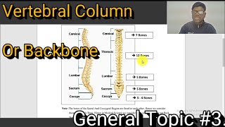 3 Back Bone Or Vertebral Column Full Explanation In Hindi  Different Section Of Back Bone [upl. by Aihsoem]