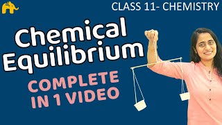 Equilibrium Chemistry Class 11  Chapter 7 Chemical Equilibrium One Shot  CBSE NEET JEE [upl. by Ativahs]