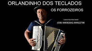 ORLANDINHO DOS TECLADOS [upl. by Sset]