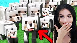 I bred a WOLF ARMY in Minecraft [upl. by Rafter]